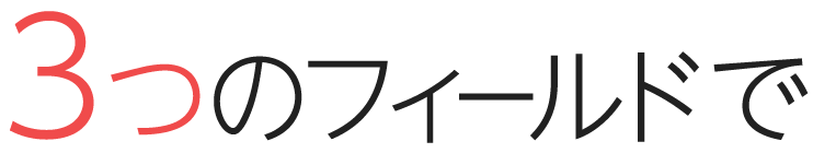 3つのフィールドで